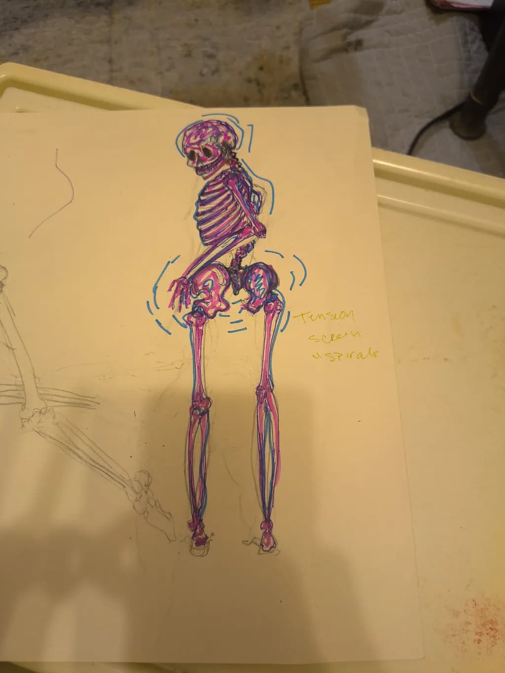 Spiral Skeleton Tension
