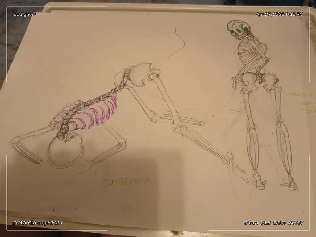 Anatomy in Motion