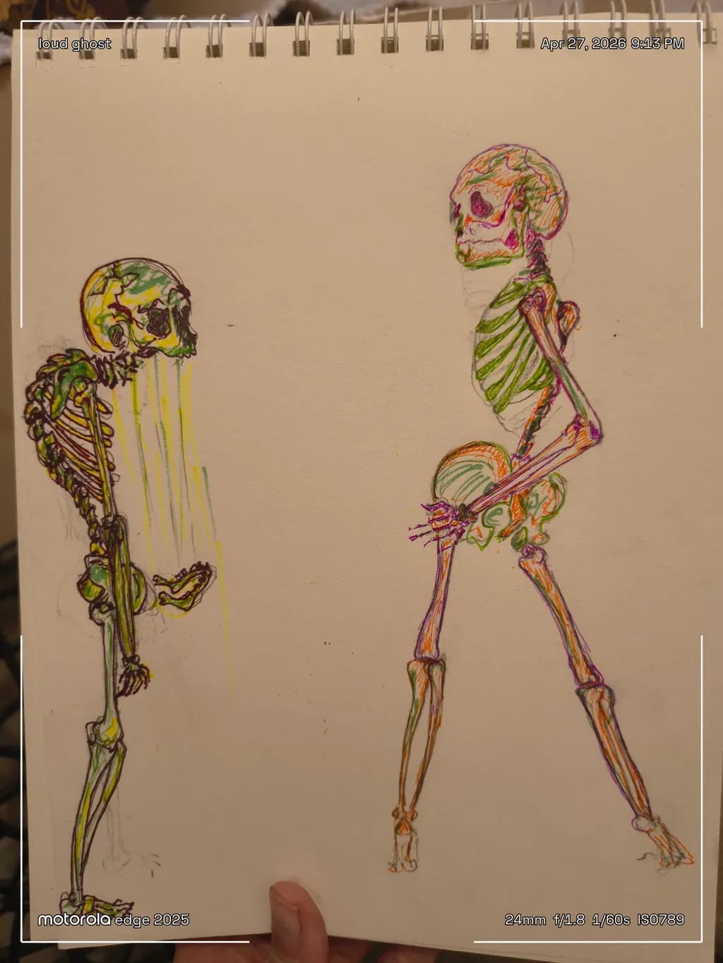 Chromatic Skeletons Dialogue