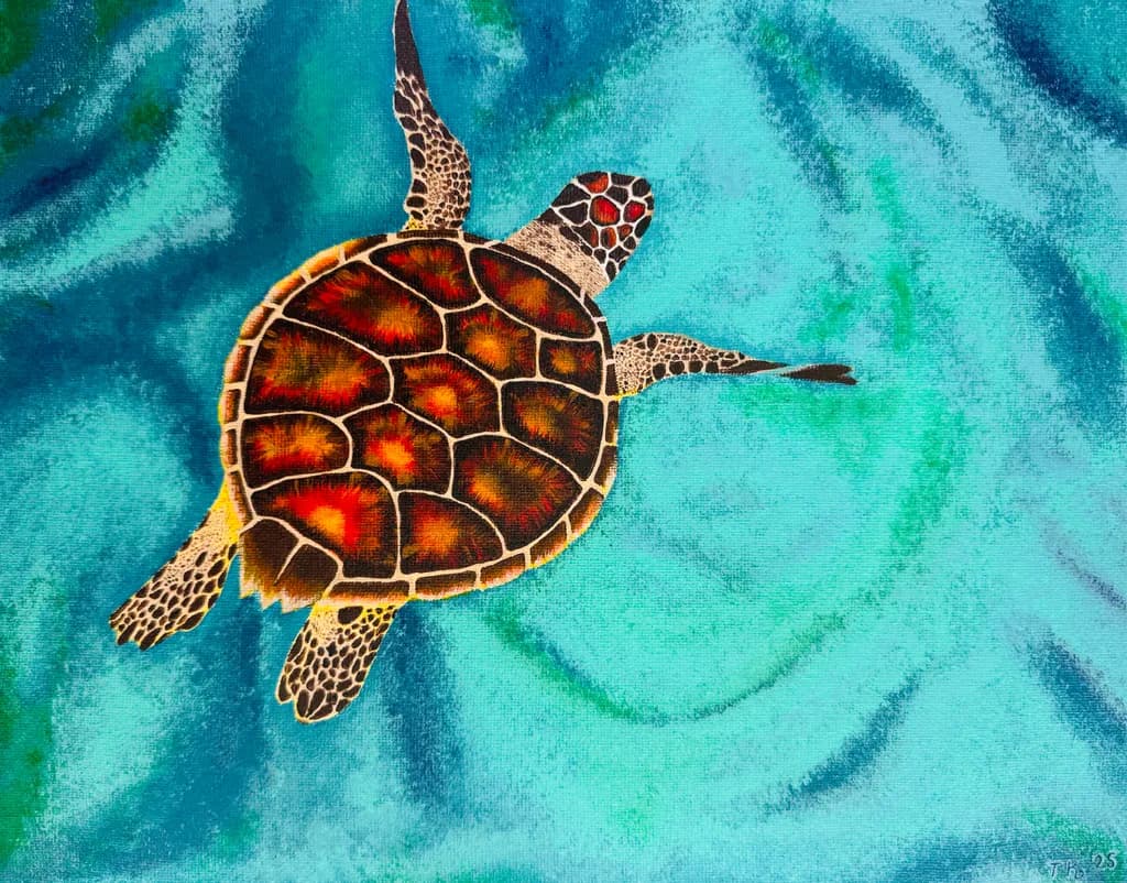 Zakynthos Turtle Swim
