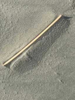 Stick and Shadow