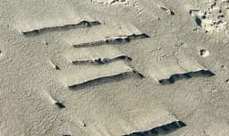 Sculpted Sand Ridges