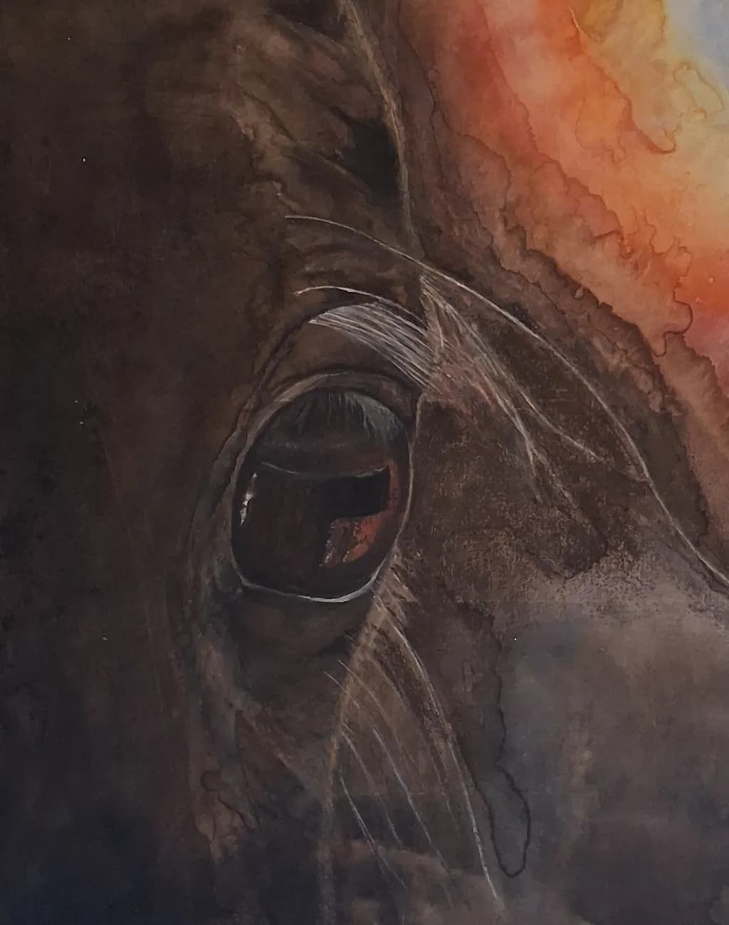 Equine Reflection