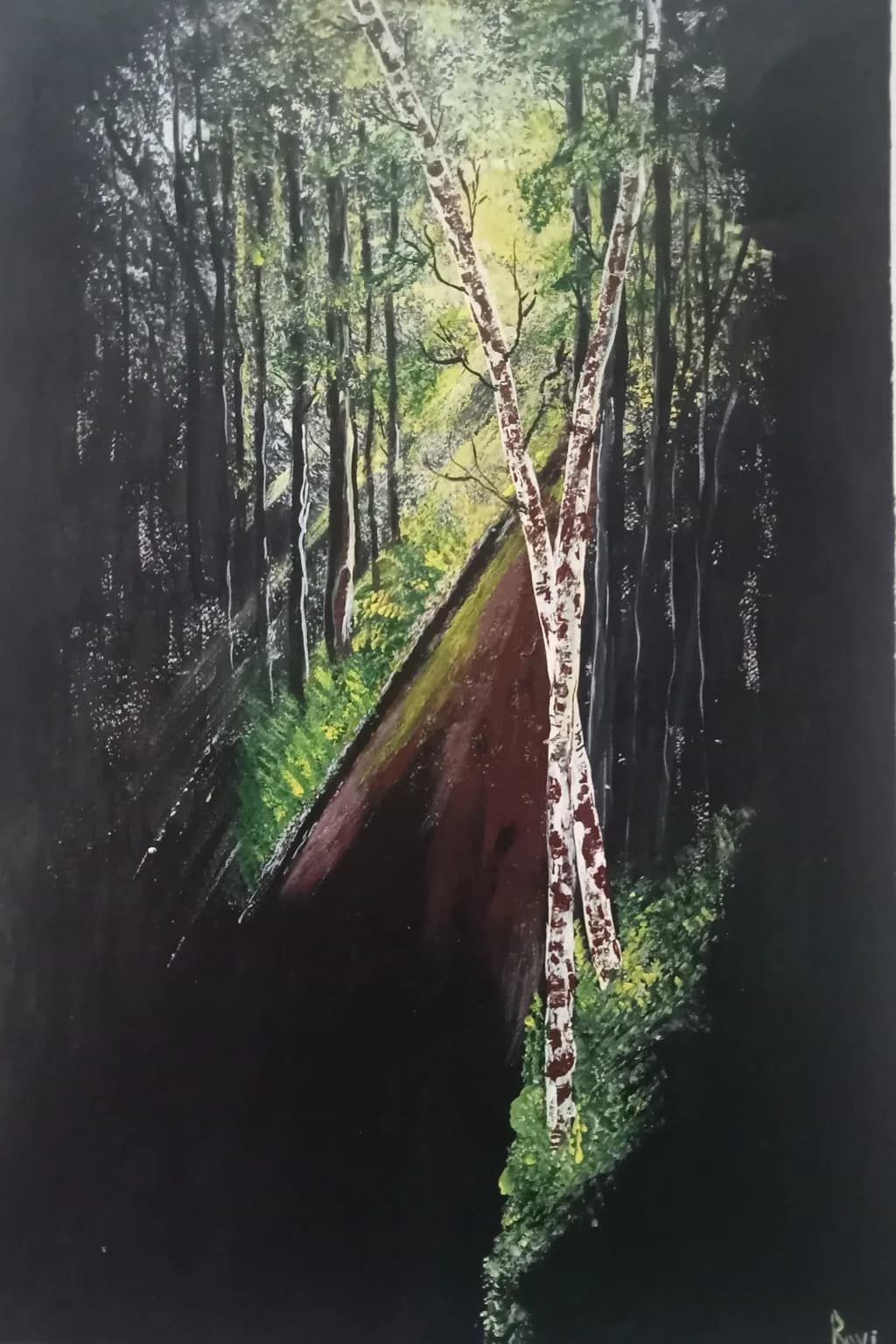 Sunlit Pathway