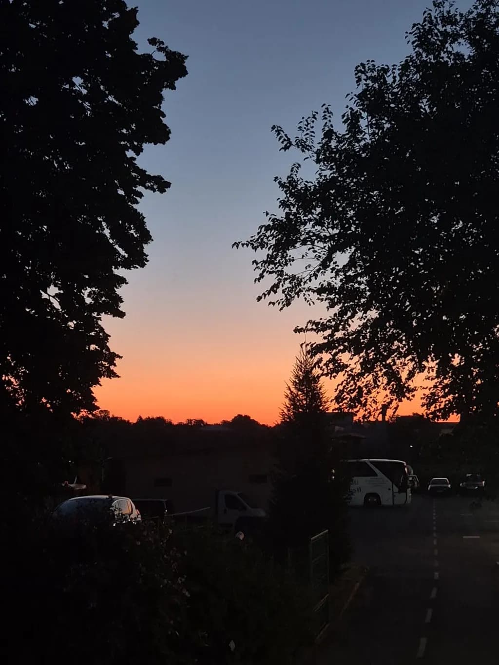 Sunset Through Trees