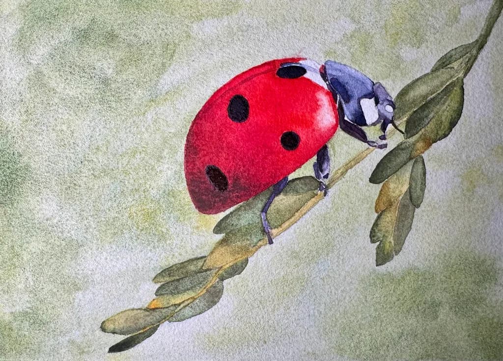 Ladybug on Leaf Branch