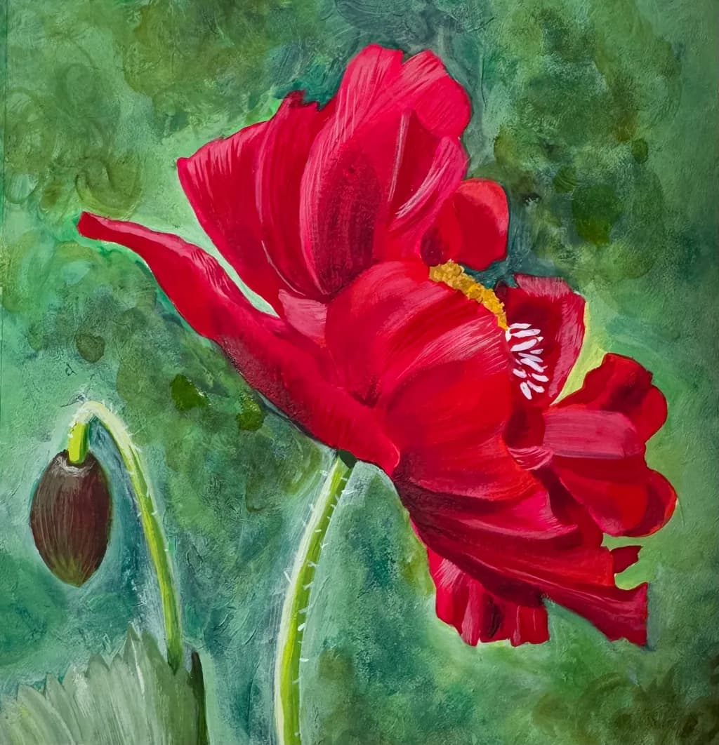 Scarlet Poppy
