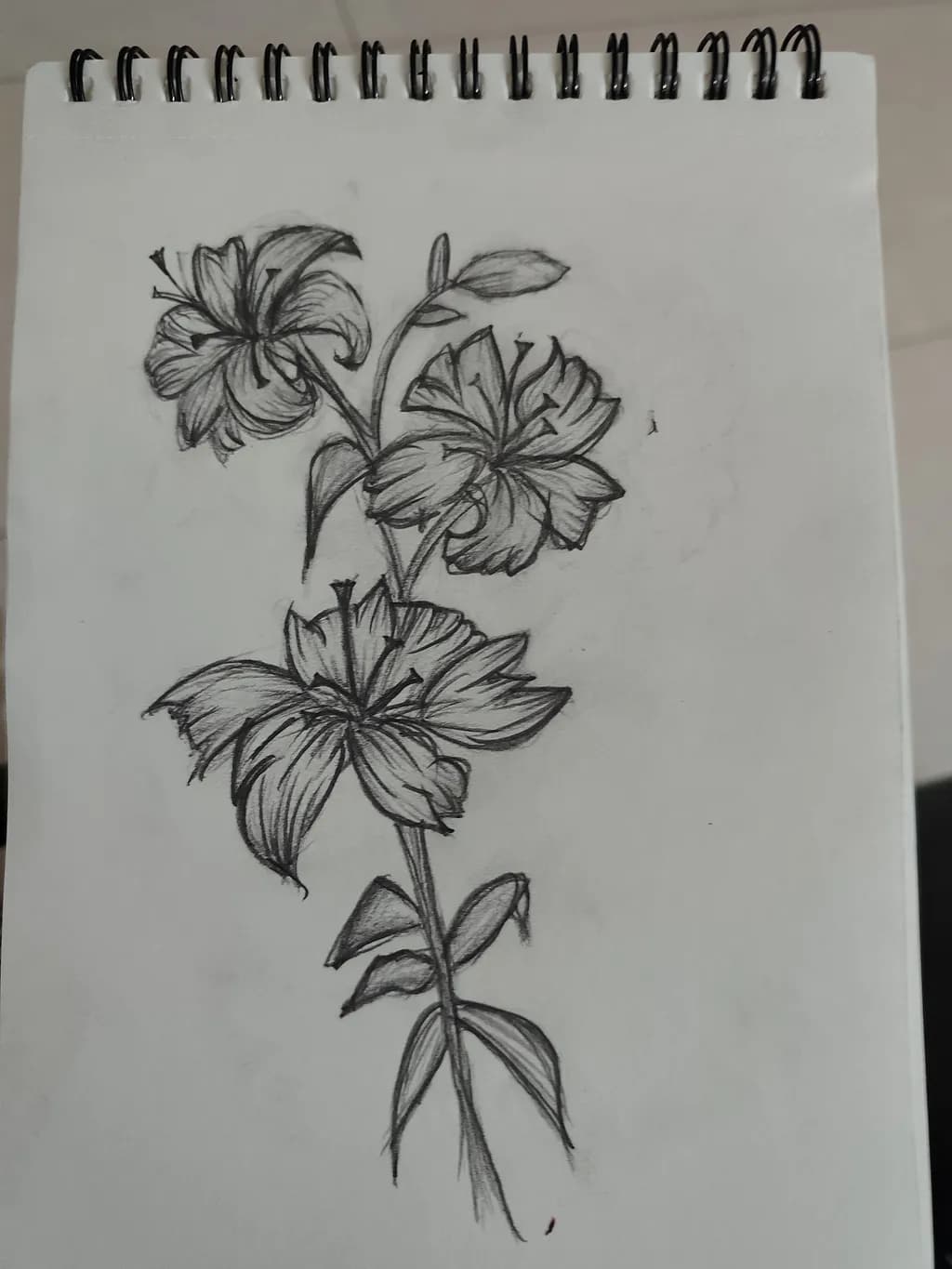 Lily Trio Sketch