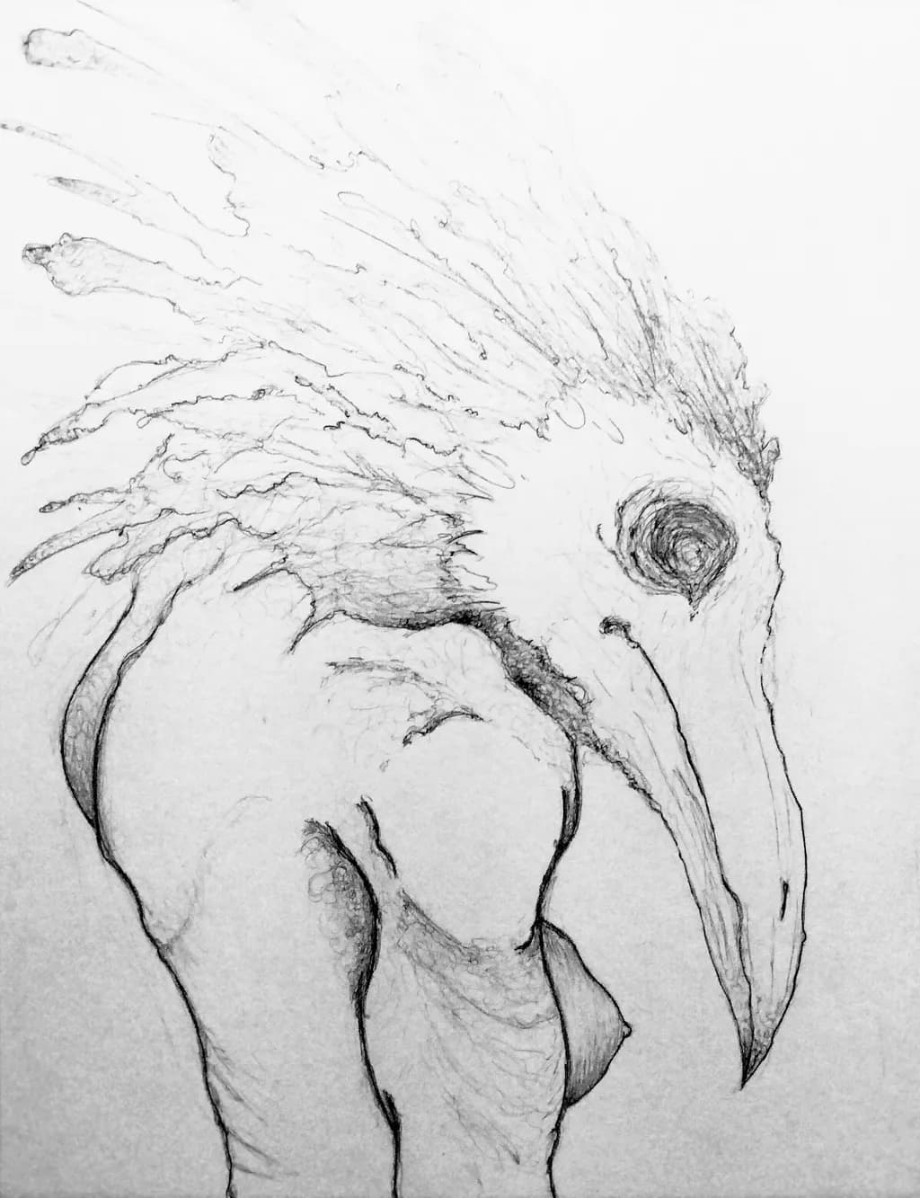 Feathered Shadow
