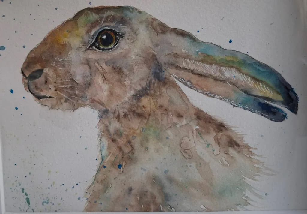 Contemplative Hare