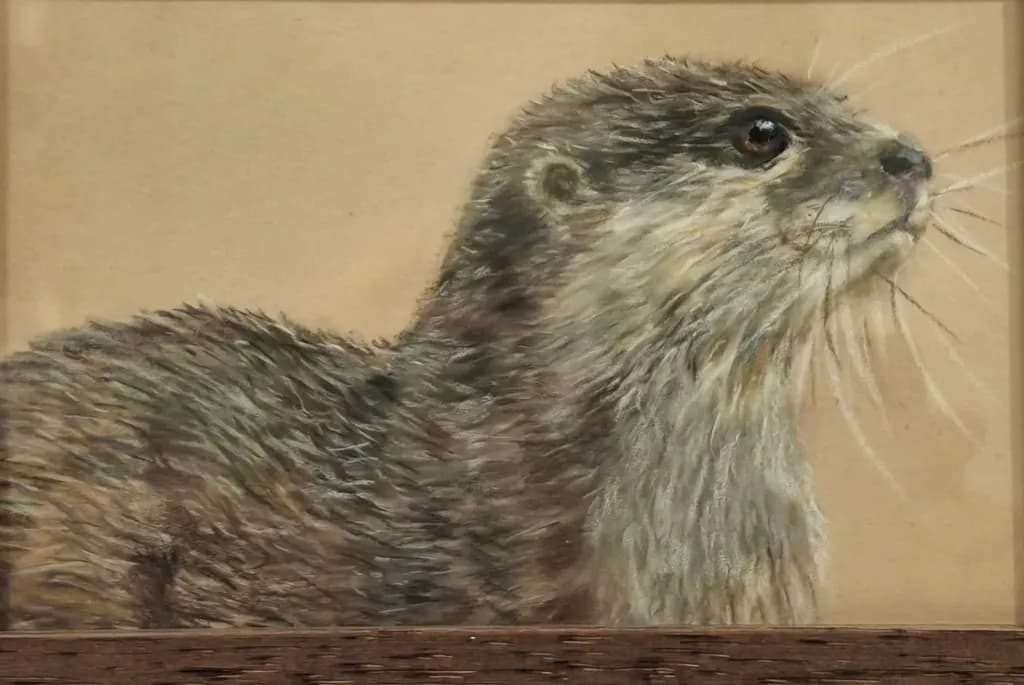Reflective Otter