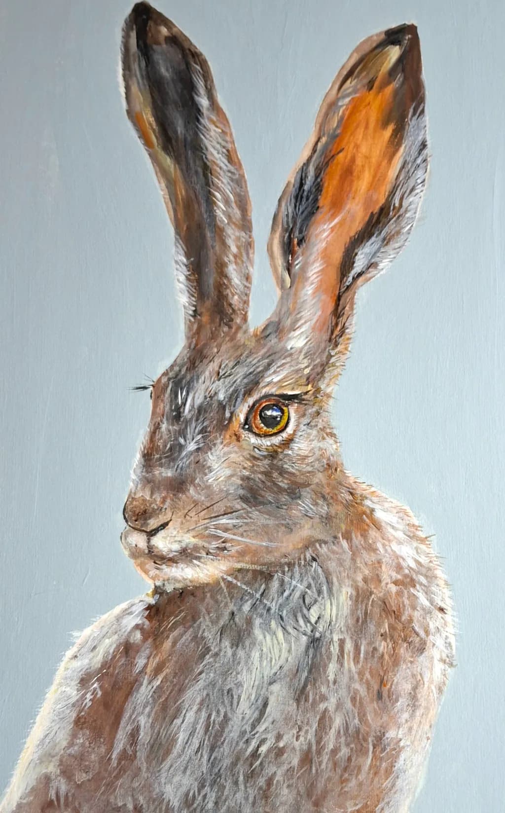 Alert Hare
