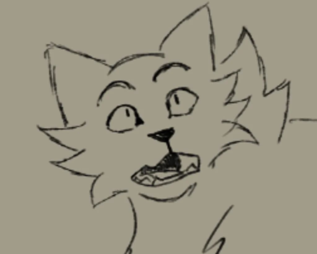 Surprised Feline