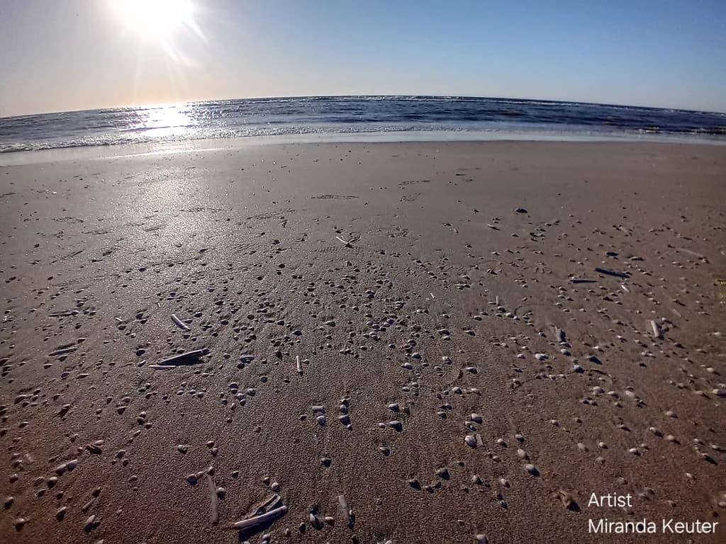Sunlit Shoreline