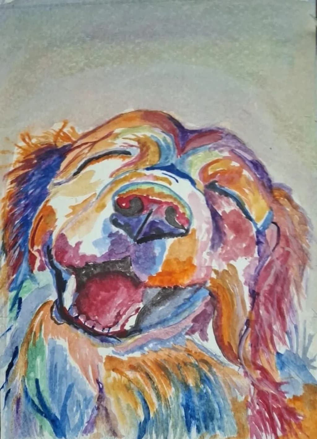 Colorful Canine Joy