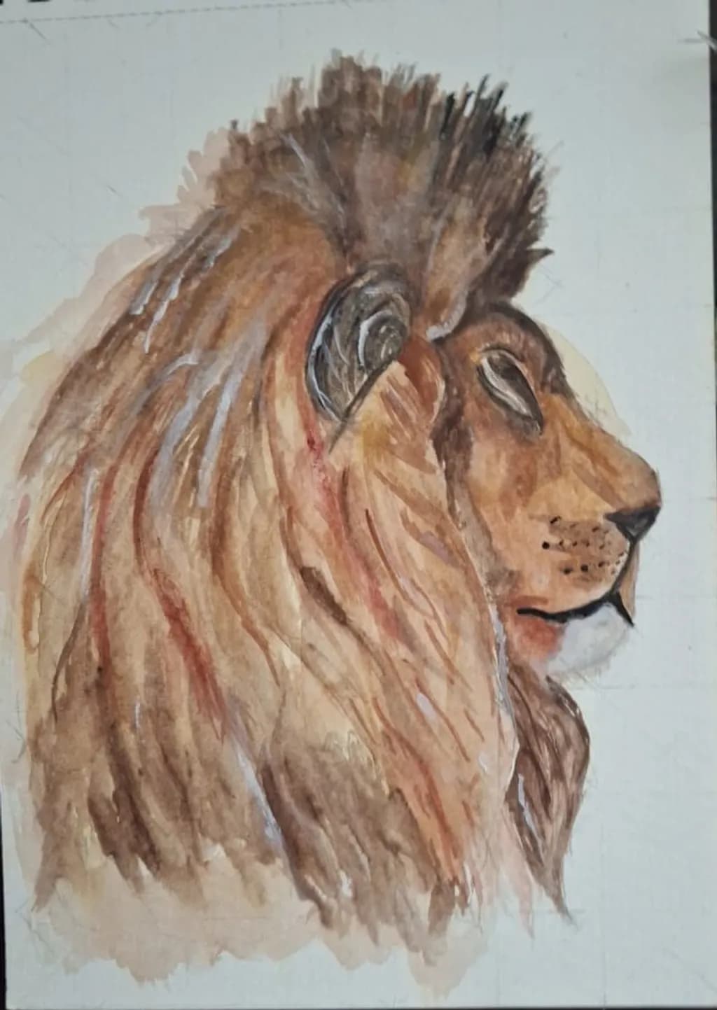 Watercolour Lion