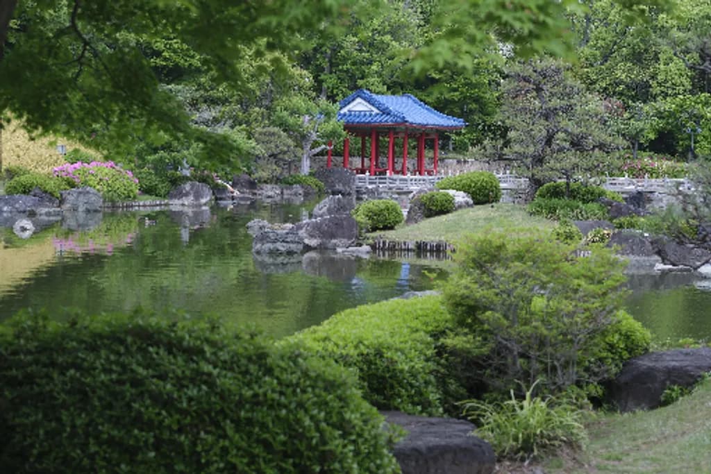 Tranquil Pavilion