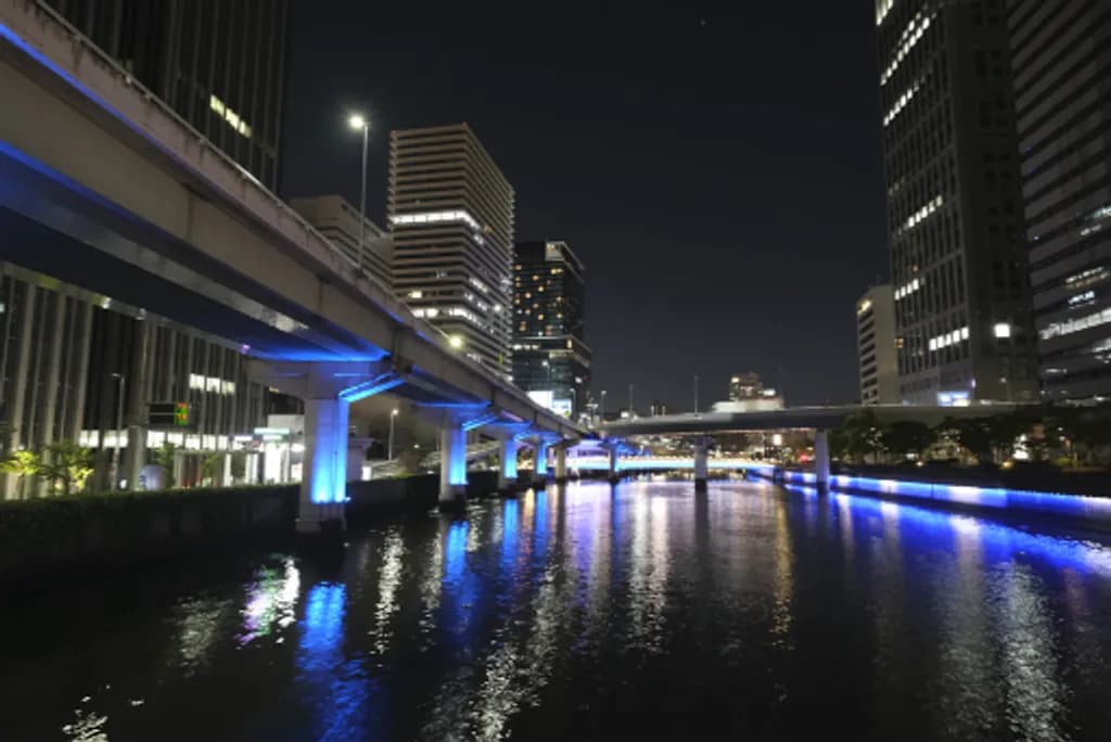Blue Night Crossing