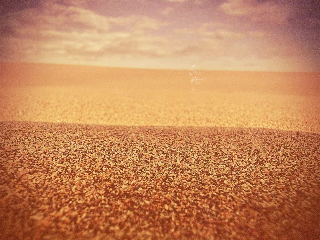 Afterlight Horizon