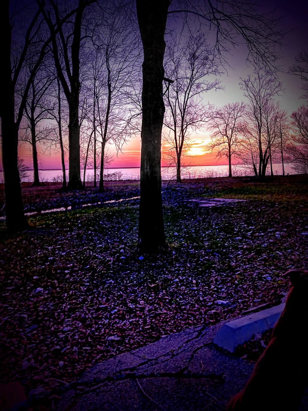 Twilight Trails