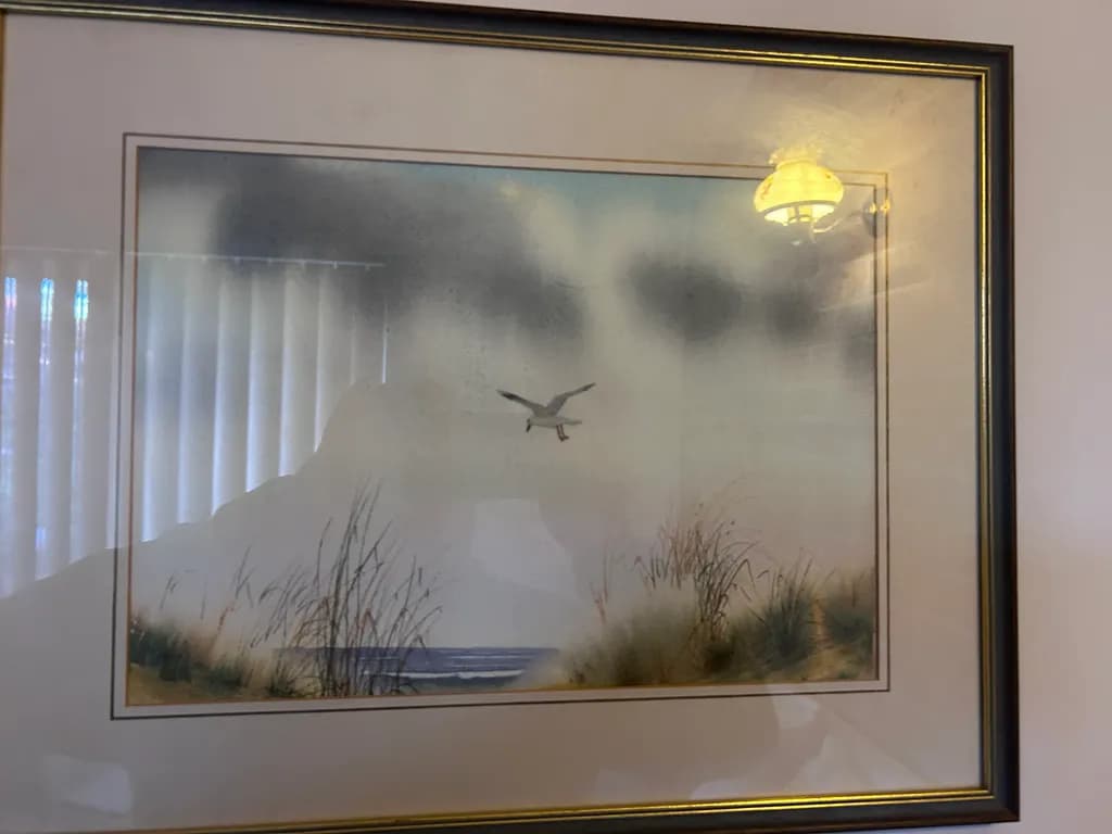 Coastal Glide
