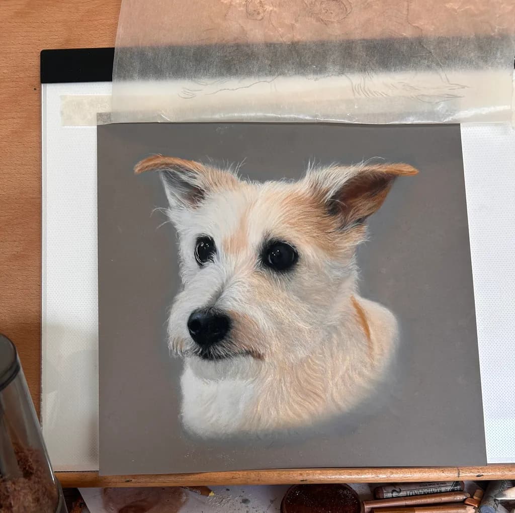 Alert Companion