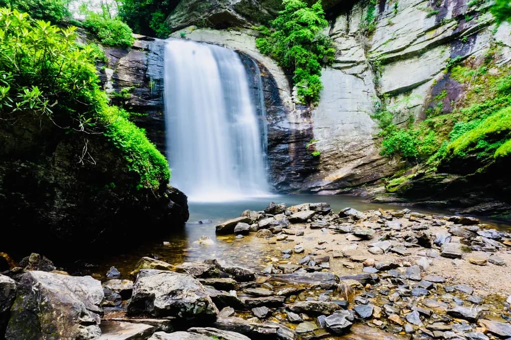 Lush Waterfall Rocks