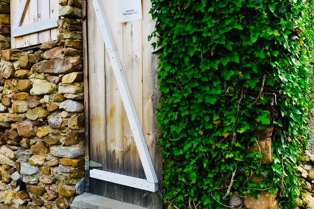 Ivy Covered Stone Door