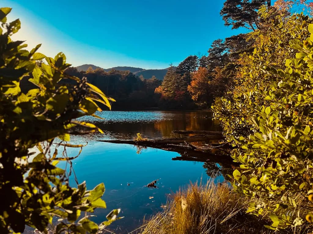Autumn Lake View