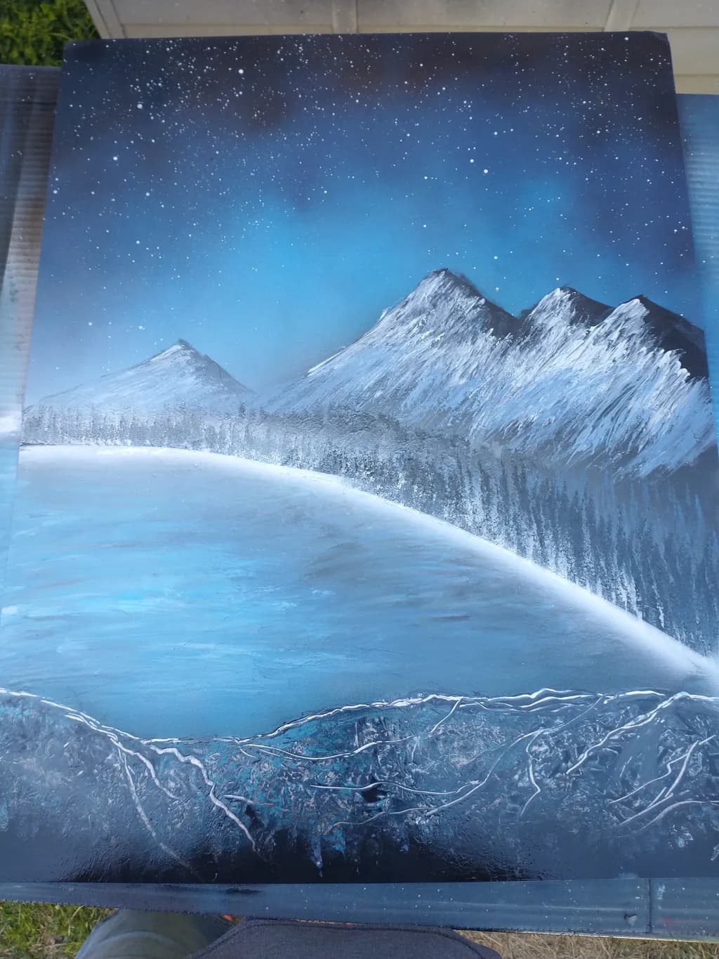 Frozen Nightscape