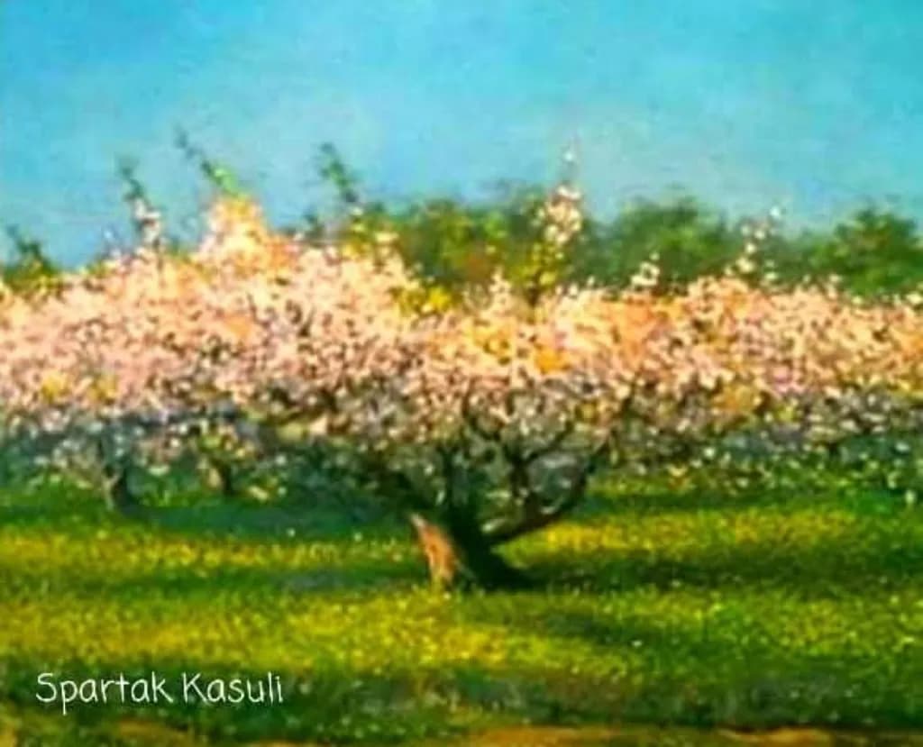Blossom Meadow