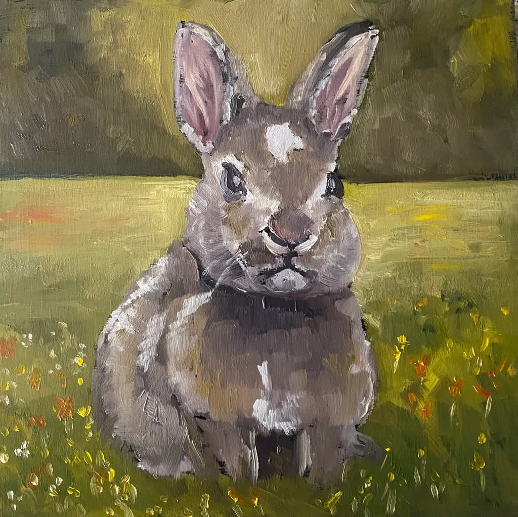 Field Rabbit