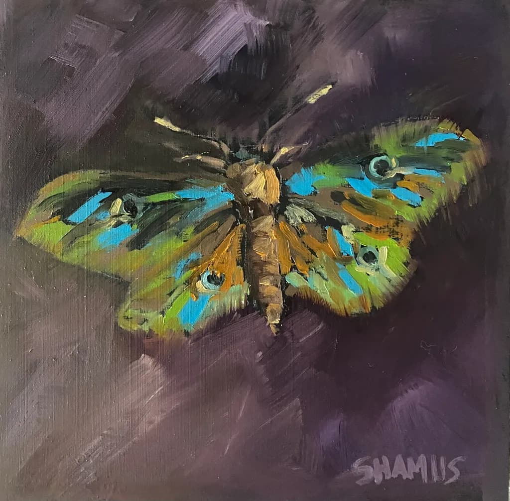 Iridescent Wings