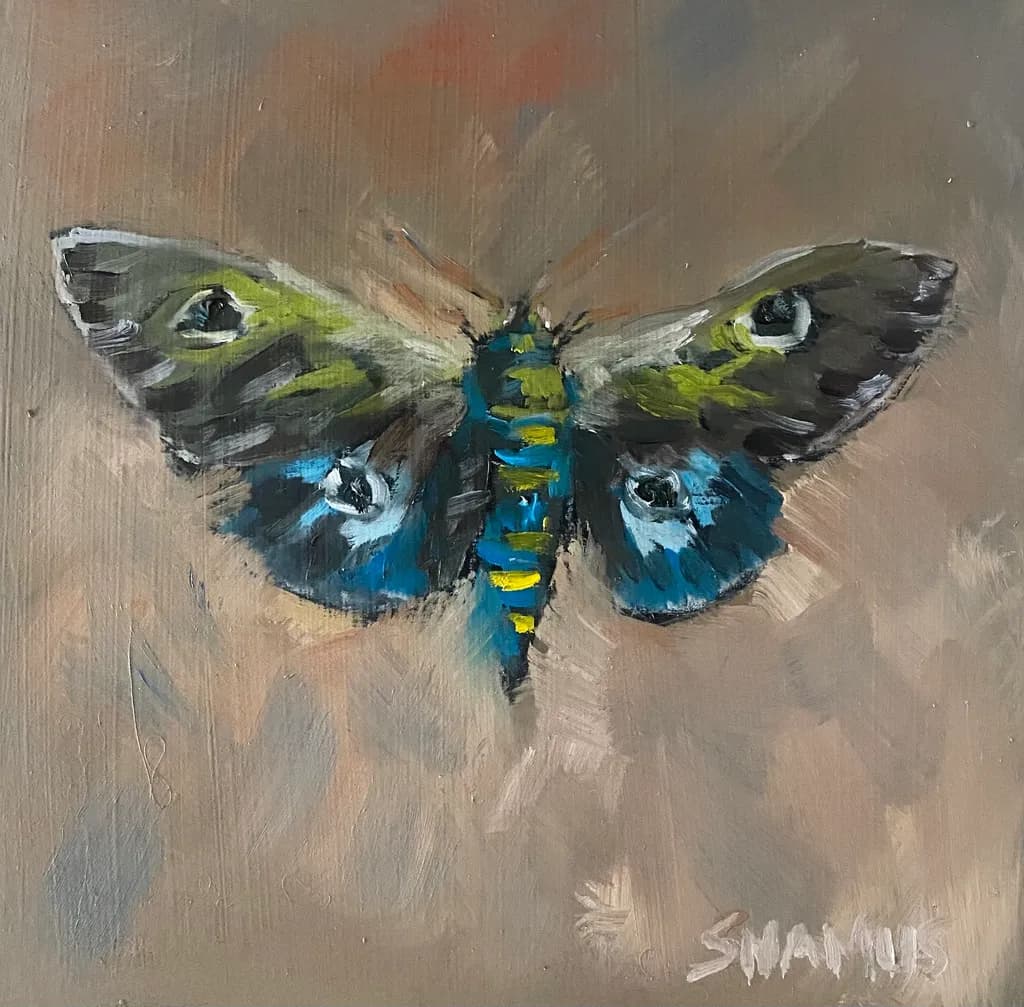 Eyes on Wings