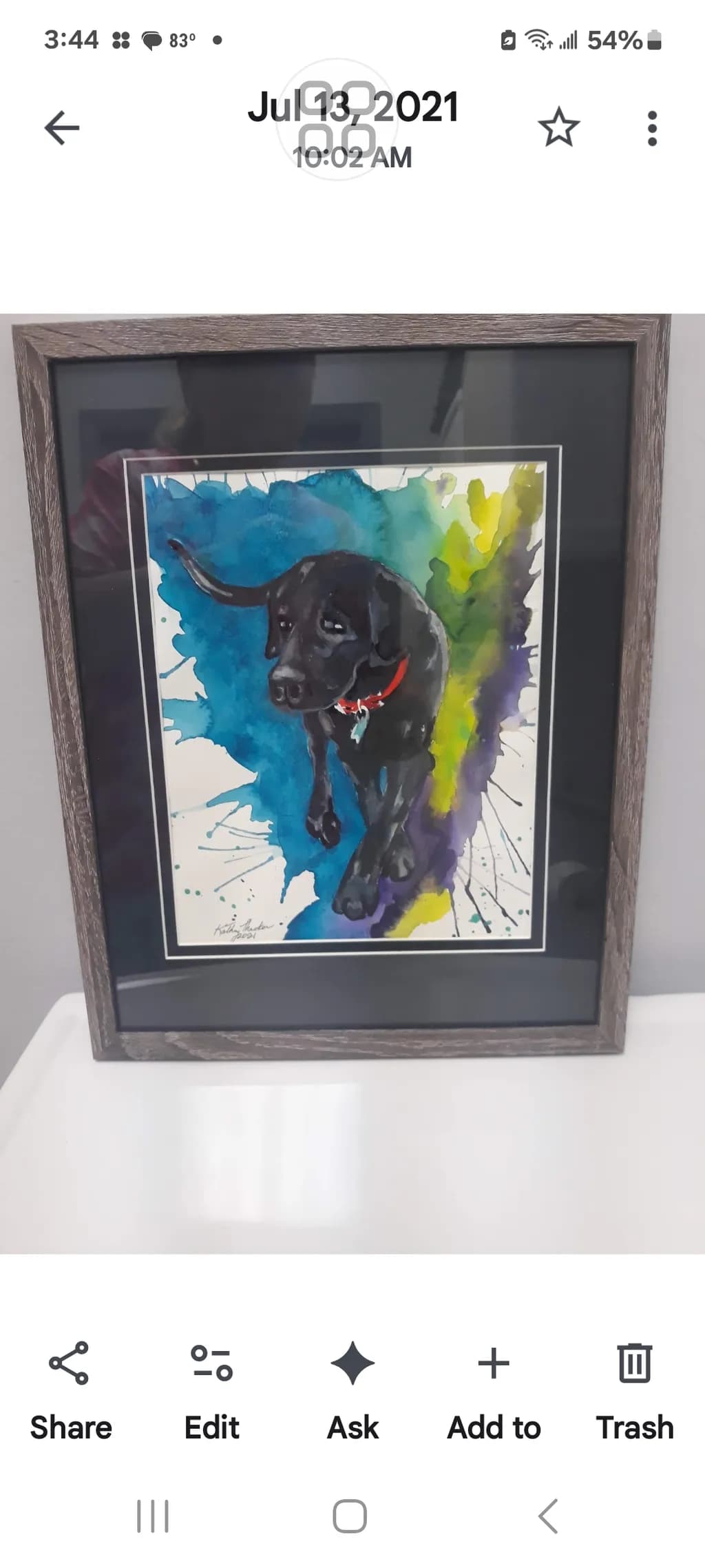Black Lab Journey