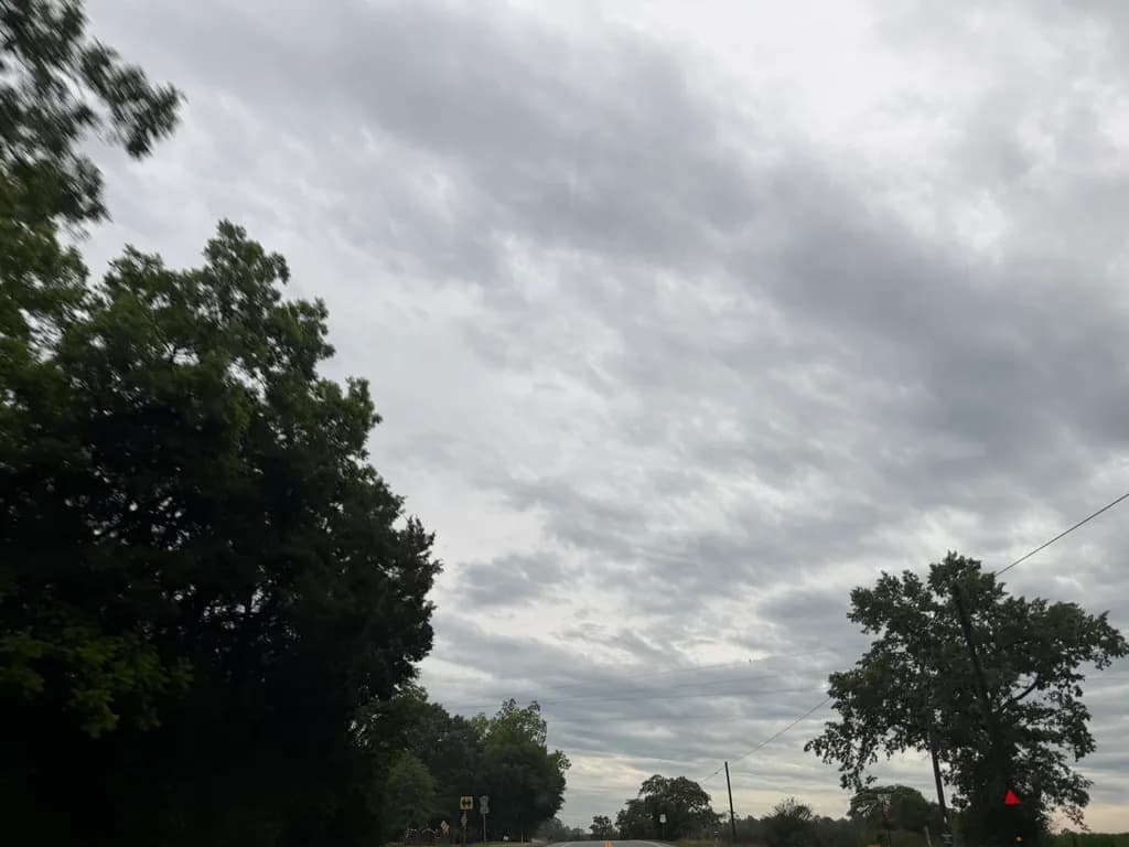 Overcast Horizon