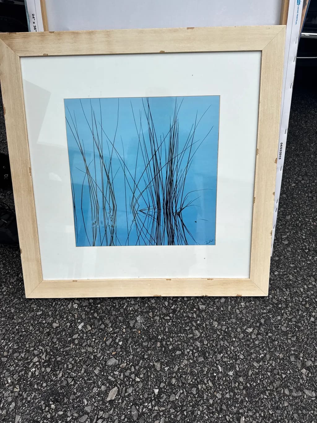 Reflections in Blue