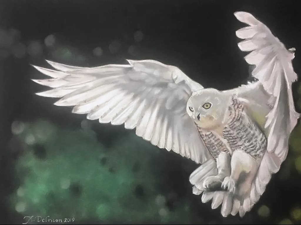 Owl in Flight