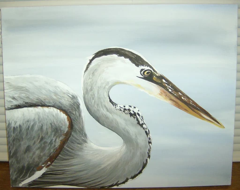 Graceful Heron