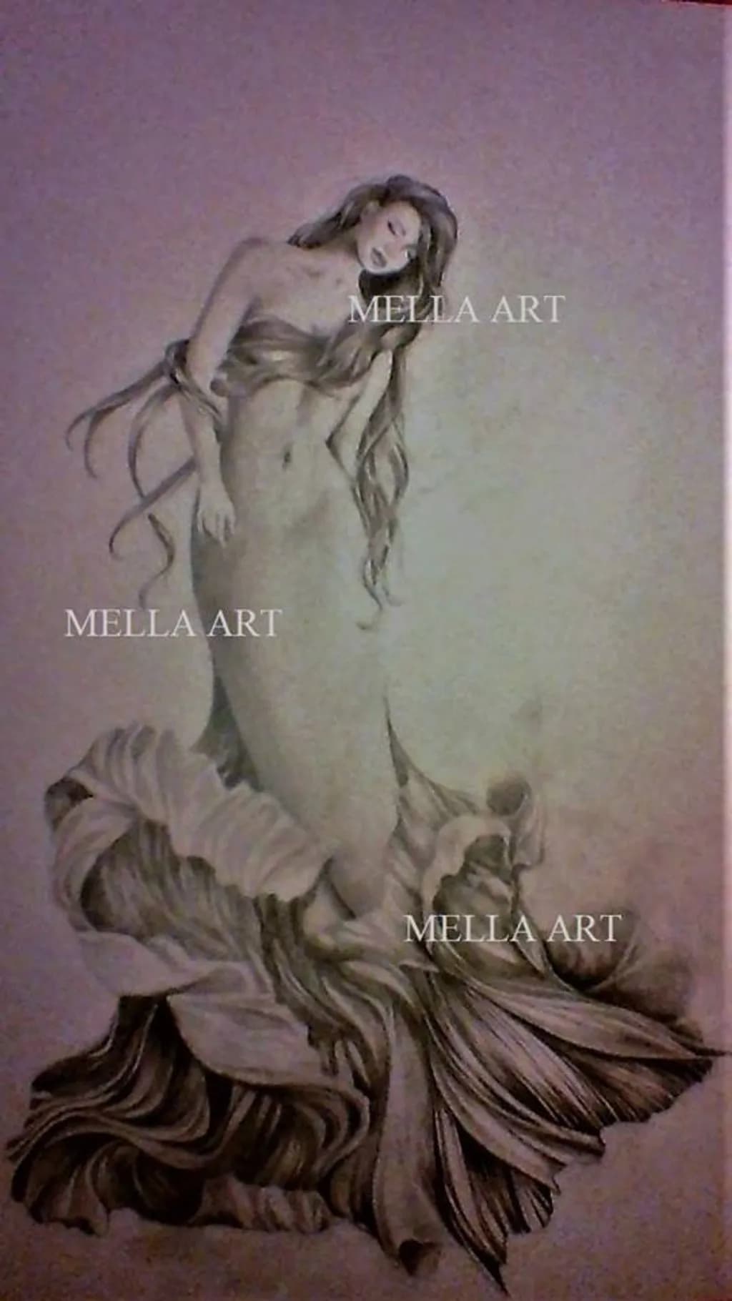 Ocean's Embrace