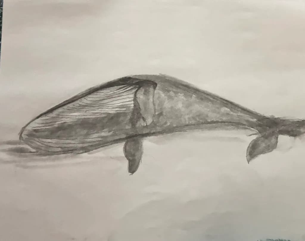 Graphite Study of a Beached Whale 2