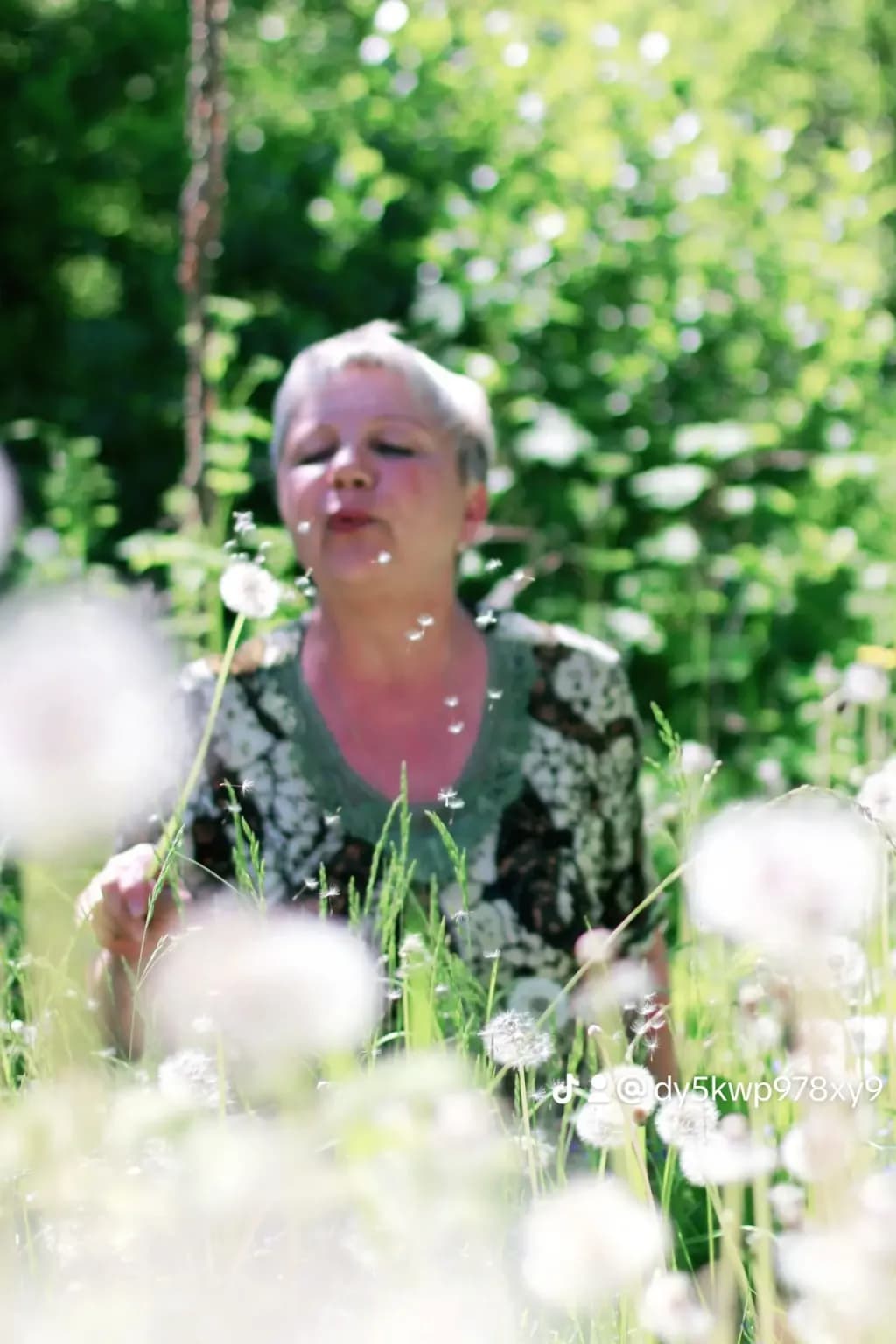 Dandelion Wishes