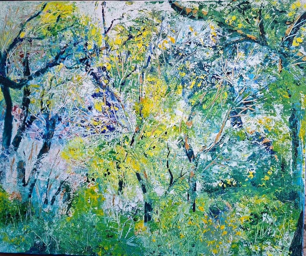 Spring Forest Scene