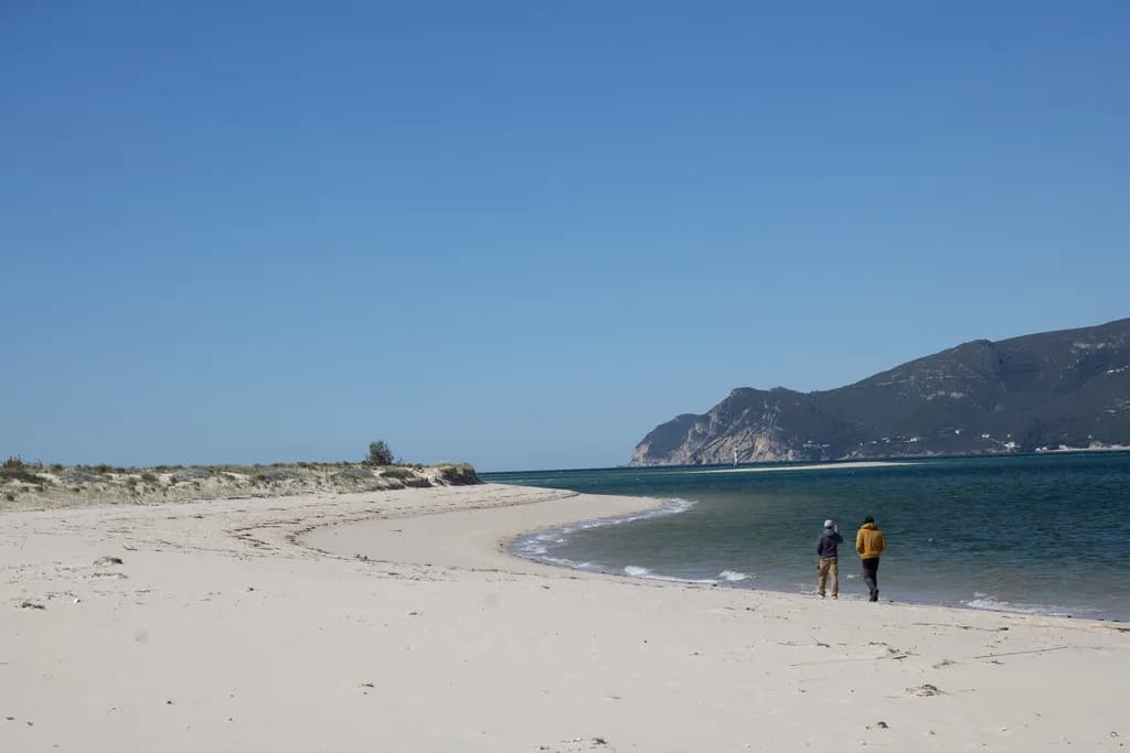 Coastal Stroll