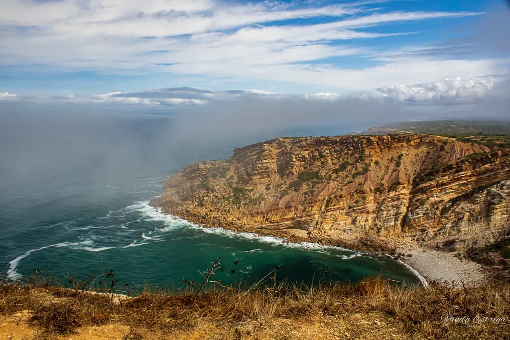 Misty Coastal Bluff