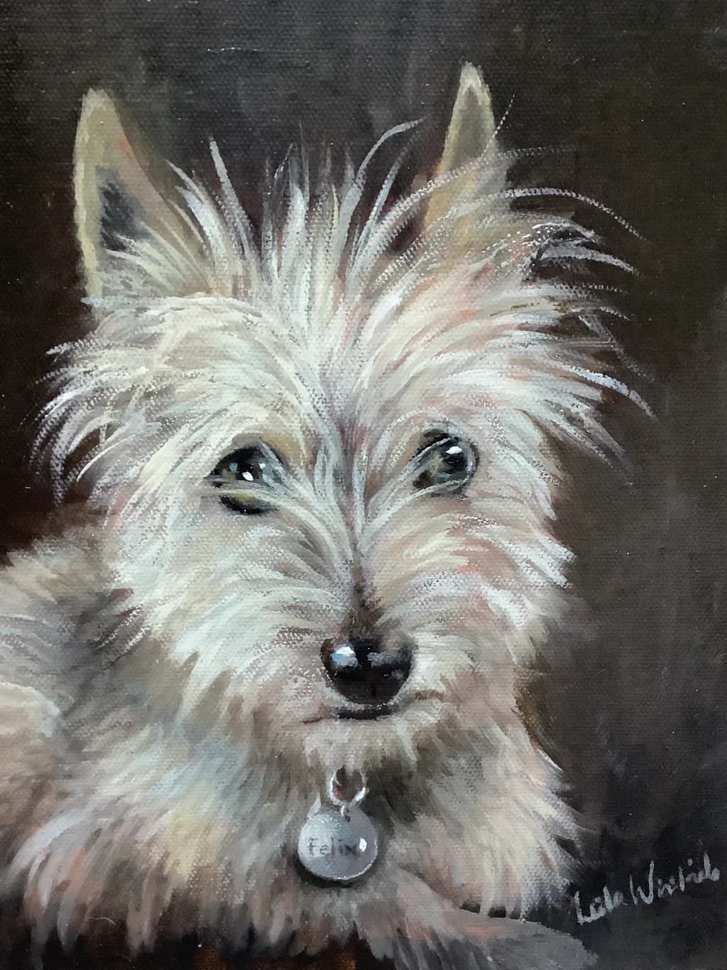 Fuzzy Felix