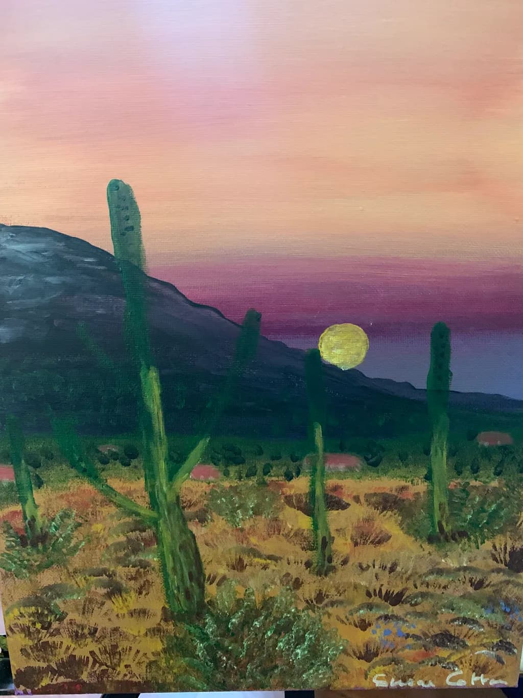 Desert Moonrise
