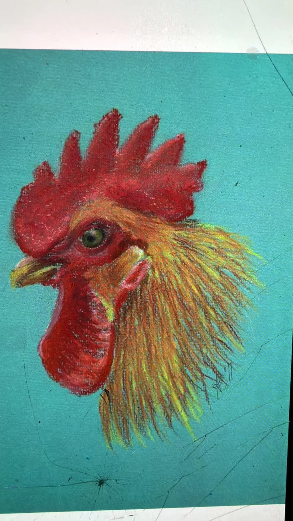 Crimson Comb