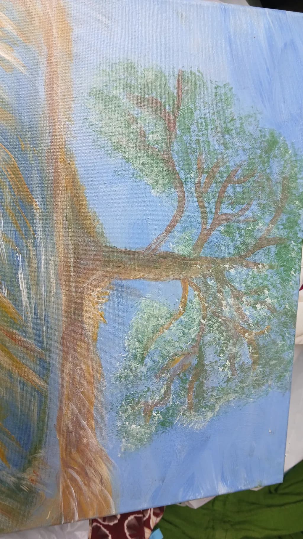 Quiet Tree Canvas
