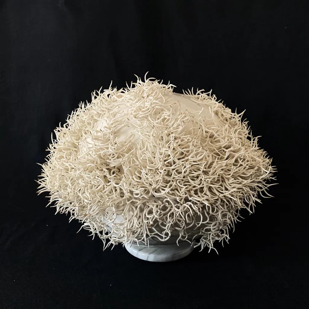 Organic Tangle